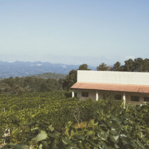 Cata Bodegas El Paraguas