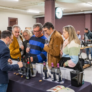 Túnel de Vinos y Destilados de a Guía Paadín 2026    TURNO DE TARDE
