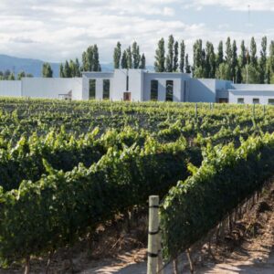 Cata de contraste: Argentina vs. Ribeira Sacra
